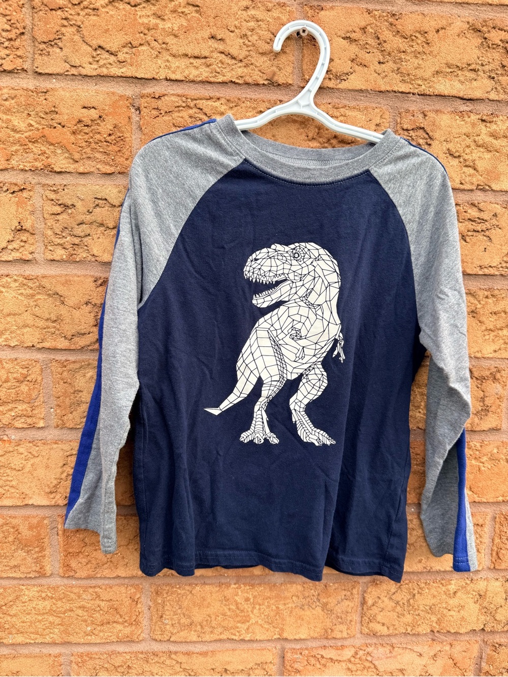 🌿10/$25 • TCP Navy & Gray Long Sleeve Raglan Tee with White Geometric T-Rex